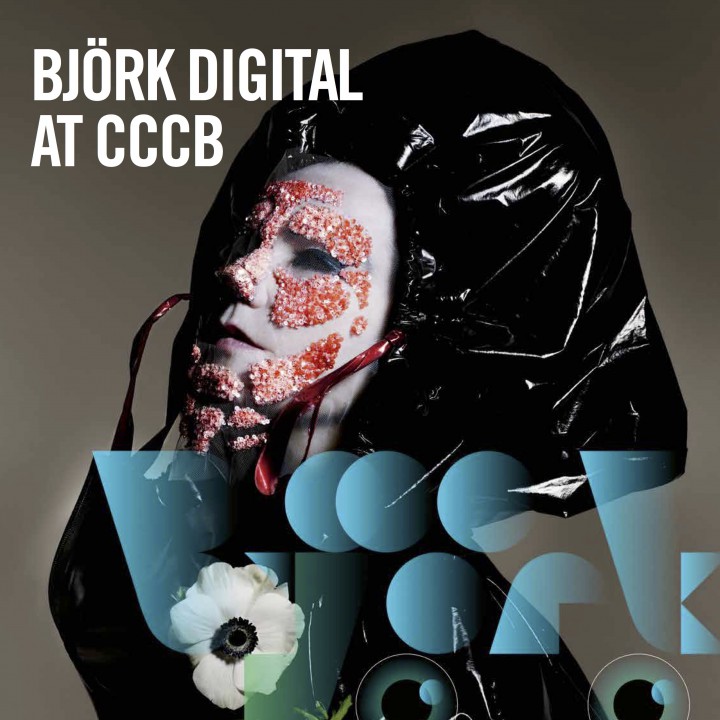 BJÖRK DIGITAL