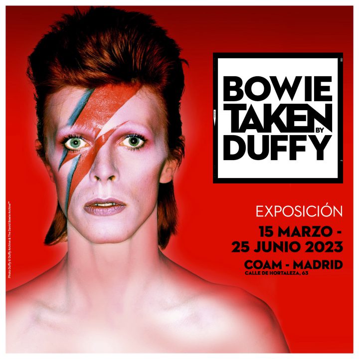BOWIE TAKEN by DUFFY